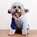 Dog Clothes Euone Puppy Coat Pet Warm Sweater Hoodie Jumpsuit Outwear (S, Pink)