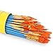 Acrylic Paint Brush Set, 6 packs/60pcs Nylon Hair Brushes for All Purpose Oil Watercolor Painting Artist Professional Kits