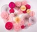 PapaKit Deluxe Origami Large Wall Decoration Set (Assorted Paper Fans & Pom-poms) Birthday Party Baby Shower Wedding Event Decor | Creative Art Design (Sparking Pink Rose Blush, Deluxe 26 Piece Set)