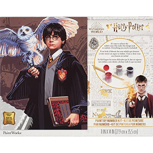 Dimensions PaintWorks Hedwig and Harry Potter Paint by Number Kit for Adults and Kids, Finished Project 11