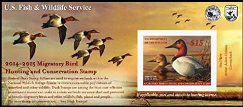 2015 $15 Canvasback Federal Duck Stamp Self Adhesive Pane Scott RW81A By USPS