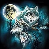 Franterd 30X30cm Lovely Animal Wolf - DIY 5D Diamond Painting By Number Kits - Paint with Diamonds Cross Stitch - Embroidery Crystal Rhinestone Pasted Drilled Arts Craft for Home