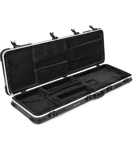 Amazon.com: Ibanez MRB500C Hardshell Bass Guitar Case : Musical