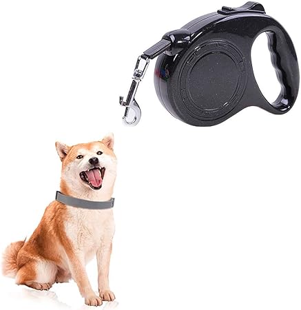 5m dog leash