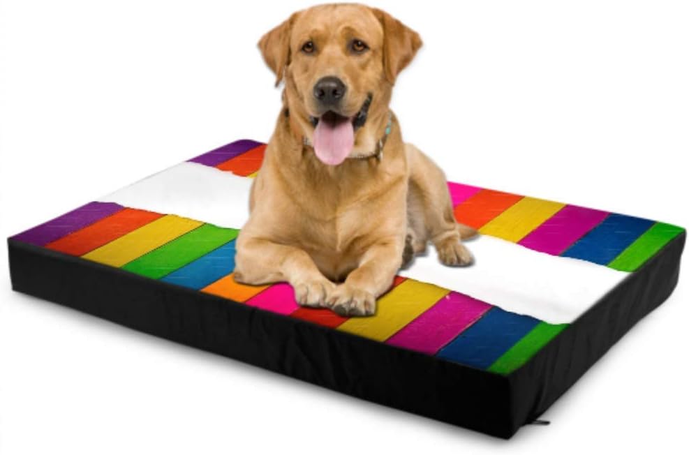 Dog Bed Cushion Art And Craft Coclourful Color Colorful Large Dog Bed