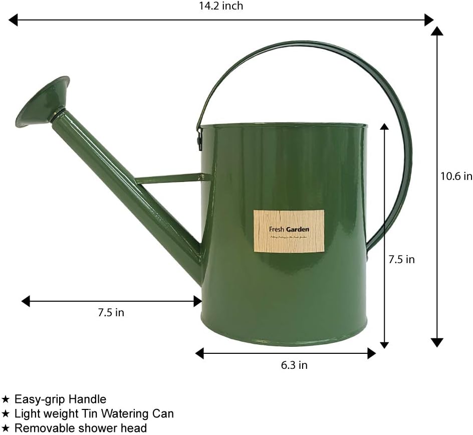 BFA Metal Watering Can with Removable Shower Head, 3.5L (0.92 gal) Retro Design Watering Can for Outdoor Indoor House Garden Plants (Khaki) : Garden & Outdoor
