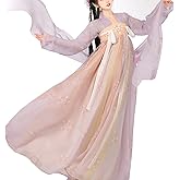 Women's Chinese Hanfu Qixiong Ruqun Sheer Top Tube Dress Outfit Tang Dynasty Traditional Costume
