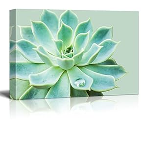 Green Succulent Green Background - Canvas Art