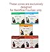 AROMATIKA Natural Masala Backflow Incense Cones Combo 'A' of 5 Packets Consists Total 50 Cones of Assorted 5 fragrances Nag Champa, Dragon Blood, White Sage, Palo Santo, Musk