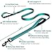 Dog Leash 6ft Long - Traffic Padded Two Handle - Heavy Duty - Double Handles Lead for Training Control - 2 Handle Leashes for Large Dogs or Medium Dogs - Reflective Pet Leash Dual Handle (Blue)