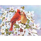 Royal Brush Color Pencil by Number Kit, 8.75 by 11.75-Inch, Cardinals