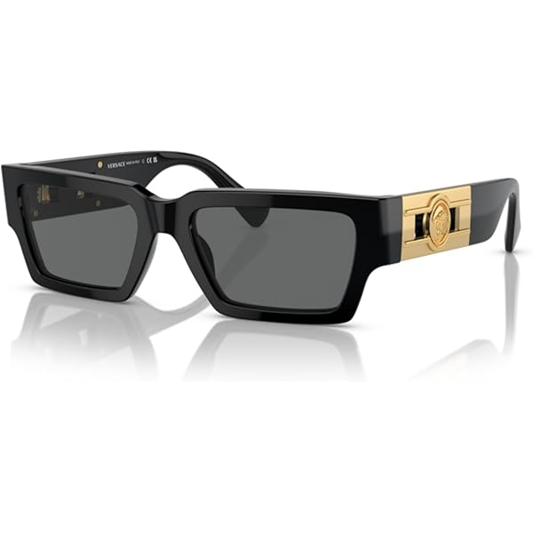 Amazon.com: Versace Sunglasses VE 4445 F GB1/87 Black Dark Grey