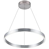 WELAKI Modern Led Chandelier, 1 Ring Circular
