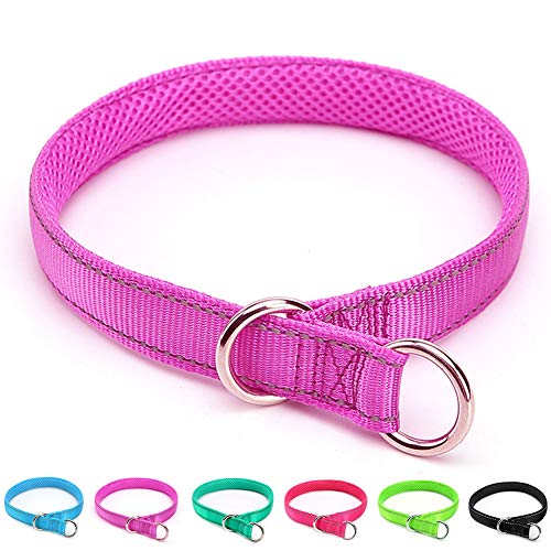 The Best Dominant Dog Collars Dogtime