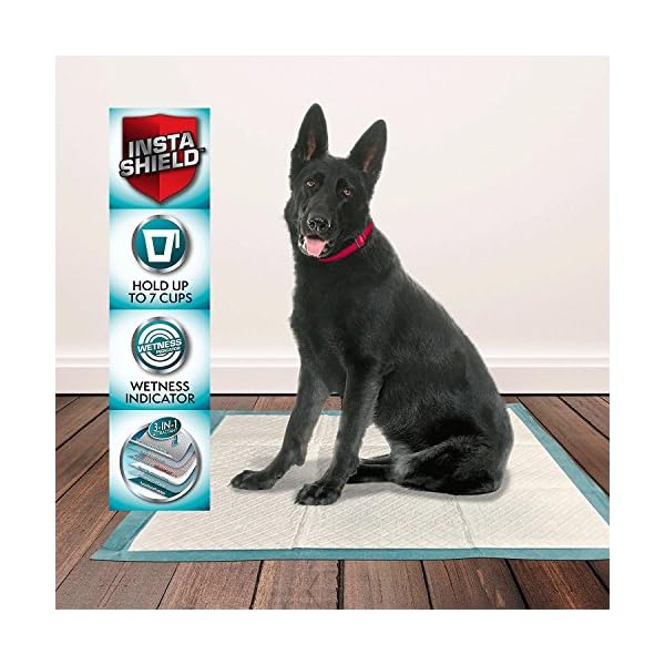 Simple-Solution-Premium-Dog-and-Puppy-Training-Pads-Pack-of-100 Simple Solution Absorbent Premium Dog and Puppy Training Pads -Pack of 100