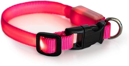 flashing dog collar