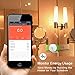 iFymei Smart Plug Mini Wi-Fi Enabled Outlet with Energy Monitoring Compatible with Amazon Alexa & Google Assistant Remote Control Your Devices from Anywhere (White-1)