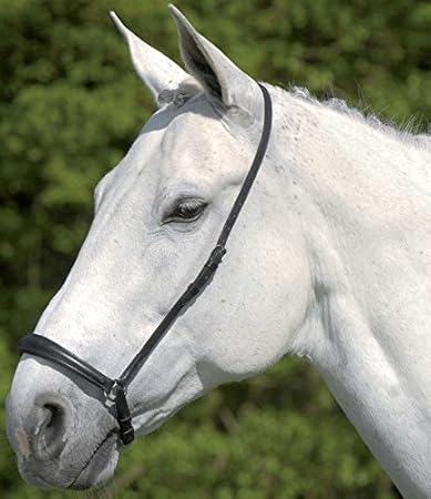 Waldhausen Reithalfter hannoveranisch, schwarz, VB, schwarz, Vollblut