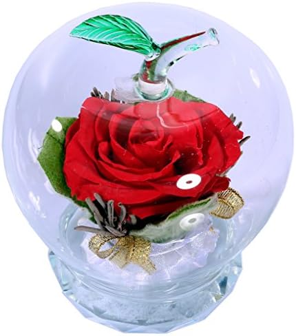 Preserved Real Red Rose， Decor with a Apple-shaped Glass， Eternal Flowers，Immortal Rose，Never Withered ， Is a perfect Gift for Valentine's day /Mother's Day/ Girlfriend's birthday