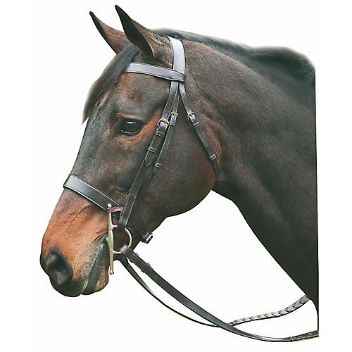 Henri de Rivel Pro Hunt Bridle