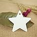 G2PLUS Christmas Star Gift Tags - 100Pcs Blank White Paper Tags with String, 2.4in Star Shaped Tag for Gift Wrapping, DIY Arts & Crafts, Wedding, Christmas Holiday Party Favors