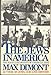 The Jews in America: The Roots and Destiny of American Jews by 