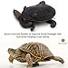 SunGrow Floating Food Sticks for Aquatic Turtles
