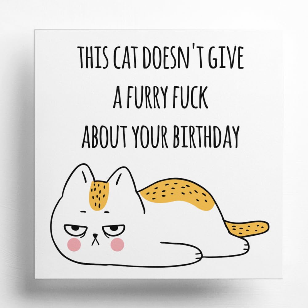 PartiKraft - 'This Cat Doesn't Give A Furry F**k' Birthday Greetings Card with Luxury Textured Envelope