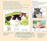Image de Cat Naps 2018 Boxed/Daily Calendar (CB0240)