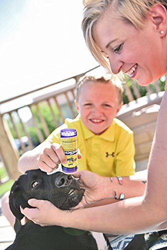 Handy Hound All Natural Paw Butter | SnoutScreen Paw Balm and Sunscreen for Dogs Bundle | Paw Butter 2 oz + SnoutScreen 2 oz (4 oz Total)