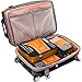 eBags Classic Packing Cubes for Travel - 3pc Set - (Tangerine)
