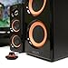 Arion Legacy AC Powered 2.1 Speaker System with Dual Subwoofers and Wired Control Pod for Multiple Devices 100W Piano Black (AR506)