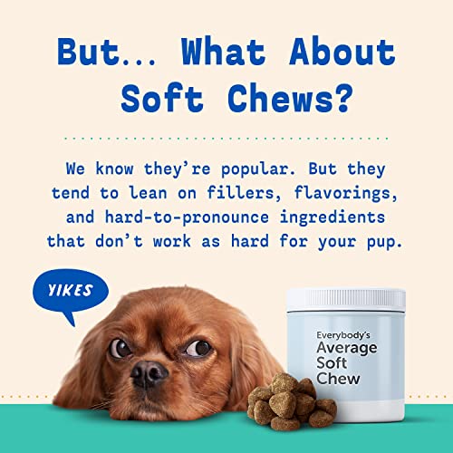 Native Pet Dog Allergy Chews Natural Dog Skin Allergies Treatment