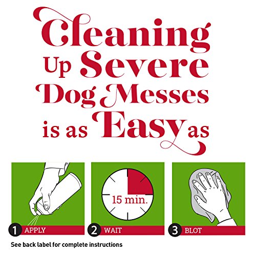 image for Nature's Miracle Pet Stain and Odor Remover Foam Aerosol Sprays