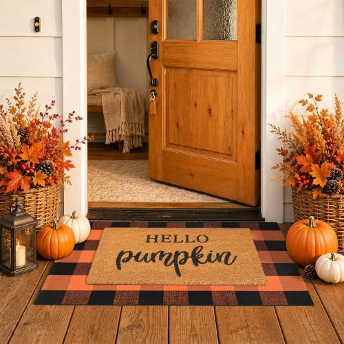 Fall Decor Door Mat Combo Set, 100% Coco Coir Welcome Mat +