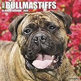 Just Bullmastiff 2020 Wall Calendar (Dog Breed Calendar) by