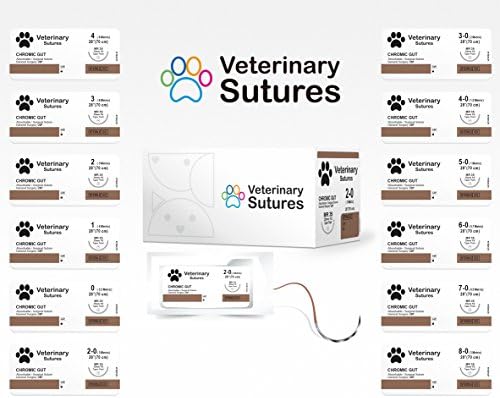 Veterinary Sutures Chromic Gut 2-0, 1/2 Round 26mm Taper Point Needle