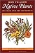 How to Grow Native Plants of Texas and the Southwest: Revised and Updated Edition by 