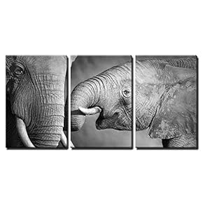 Affectionate Baby Elephant - 3 Panel Canvas Art