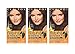 Clairol Natural Instincts 14 Tweed Light Cool Brown 1 Kit (Pack of 3)