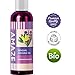Sensual Massage Oil for Men and Women – Aromatherapy Massage Therapy Oil with Pure Essential Oils – Anti-Cellulite Body Oil for Dry Skin – All Natural Pure Sweet Almond Jojoba Lavender Ylang Ylangthumb 1