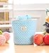 Franterd Waterproof Picnic Insulated Fashion Lunch Cooler Tote Bag Travel Organizer Box (Blue)