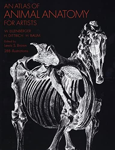 Anatomy For The Artist: SIMBLET, SARAH: 9780751334418: Amazon.com
