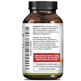 Coleus Forskholii - Pure Forskolin Root Extract Pills - Natural Diet Pills - Herbal Weight Loss Fat Burner - Metabolism Booster for Men and Women - 60 veggie capsules - By Huntington Labs