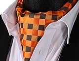 SetSense Men's Plaid Jacquard Woven Self Cravat Tie Ascot
