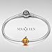 NINAQUEEN Halloween Pumpkin Charms Fits Charms Bracelets Sterling Silver Bead Birthday Valentines Christmas Gifts for Women Her Wife Mom Girls Girlfriend Jack-o'-lantern