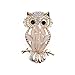 Reizteko Crystal Rhinestone Perched Cute Green Eyed Owl Brooch and Pin Comes with Gift Bag (Beige)
