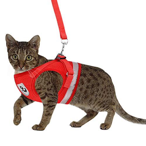 Cat Harnesses and Puppy Harness with Leashes Set, Escape Proof Cat