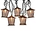 LIDORE 10 Counts Vintage Bronze Iron Nets Lanterns Plug-in String Lights. Great for Indoor/Outdoor Decoration. Best Ambience Decorative Lights. Warm White Glow.