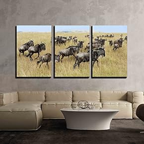 3 Piece Canvas Wall Art - Wildebeest in National Park of Kenya, Africa - Modern Home Art Stretched and Framed Ready to Hang - 16"x24"x3 Panels